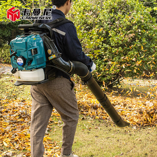 Kamani BBX9900 greenhouse snow blower industrial blower high power gasoline hair dryer back-loaded wind fire extinguisher EB851 (power 2800W)