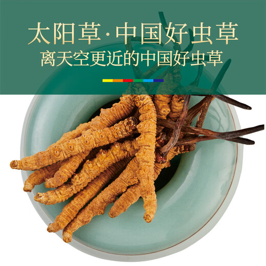 Cordyceps sinensis 3 Wurzeln/G10g ungefähr 30 Wurzeln Cordyceps Festliche Geschenke High-End-Nahrung Ernährung Auswahlgeschenke