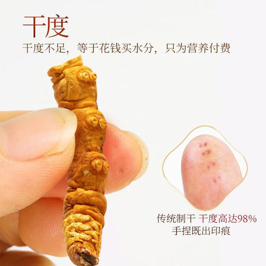 冬虫夏草断草纯肉节藏区雪域大断虫草干货100克散装虫草送礼盒装 藏区大断草30克【店长推荐】