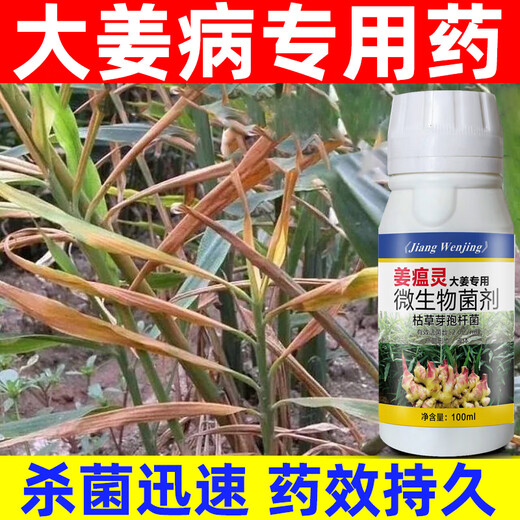Special pesticide for ginger disease, ginger fungicide, ginger fungicide to prevent and control ginger blast, root rot, soft rot, 500ml/20 bottles