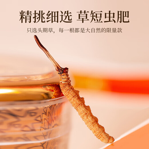 
Tongfu Cordyceps sinensis 2-3 roots/g 20g About 50 roots gift boxes, nourishing nutritional supplements, gifts for elders