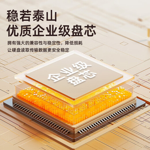 Jieyi 22t mobile Festplatte 10t große Kapazität 20t Desktop-Speicher 16t Hochgeschwindigkeits-CMR-vertikale mechanische Festplatte auf Unternehmensebene 12t Laptop-TV externe 8t4t-Festplatte mobile Festplatte auf Unternehmensebene 10 TB wird mit stoßfester Tasche geliefert | Versand durch SF Express