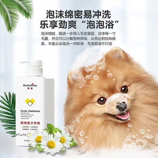 Beautiful pet white Pomei shower gel white dog shampoo bath solution hair sterilization deodorization adult dog bath lasts for long-term fragrance removal Bai Pomei