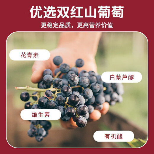 通化（TONHWA）红梅山葡萄酒老款木塞红梅 国产甜红甜葡萄酒送礼 老红梅铁盖15度整箱725ml*6瓶