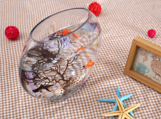 Fanbaiku creativo de peces de vidrio plano de boca plana ovalada, peces de pescado de oro de vidrio transparente ultra blanco mini acuario pequeño escritorio de escritorio 20 peces planos + piedras de colores