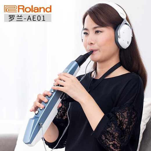 贤怀达正品日本品牌Roland罗兰AE-01电吹管老人电萨克斯电子乐器二胡AE0 罗兰AE-01C民族版(套餐四)