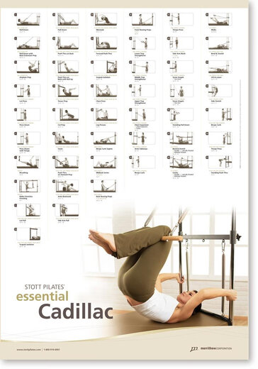 STOTT PILATES Pilates wall chart sports fitness reference poster 68x99cm