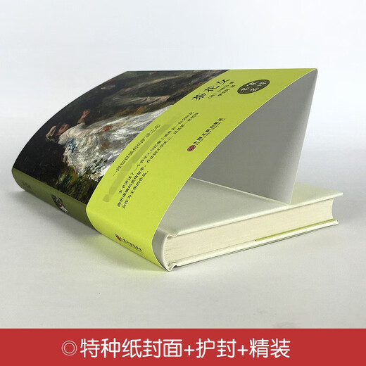 精装必读名著SN9898 林肯传
