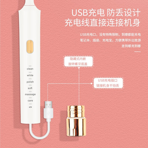 Bioderma (B D M) electric toothbrush adult sonic couple gift box 6 modes rechargeable white gift box with 5 brush heads