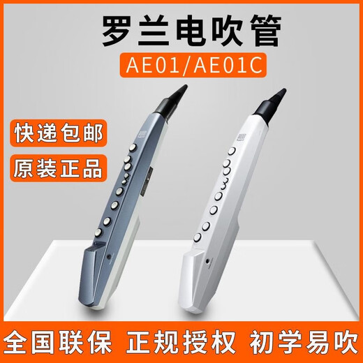 贤怀达正品日本品牌Roland罗兰AE-01电吹管老人电萨克斯电子乐器二胡AE0 罗兰AE-01C民族版(套餐四)