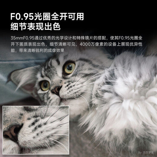 Xingyao Optical Brightin Star 35mm F0.95 Portrait Large Aperture Night God Portrait Half Frame Lens Xingyao 35f0.95 Luminous Edition Black Package One Standard + UV Lens + Cleaning Kit Nikon Z Mount (Z50/Z5/Z6/Z7, etc.)