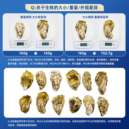 Bassling Fresh Rushan Oysters 4XL Net Weight 10Jin Jin is equal to 0.5kg 20-26 pieces Straight from the source