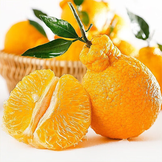 Moisturize the taste and come to Sichuan Wuzhihuo Chou Orange Fresh Seasonal Fruit Gift Box Big Fruit Chou Orange Eight Strange Orange Rake Orange Rake 6Jin[Jin equals 0.5 kg] Gift Box Pack