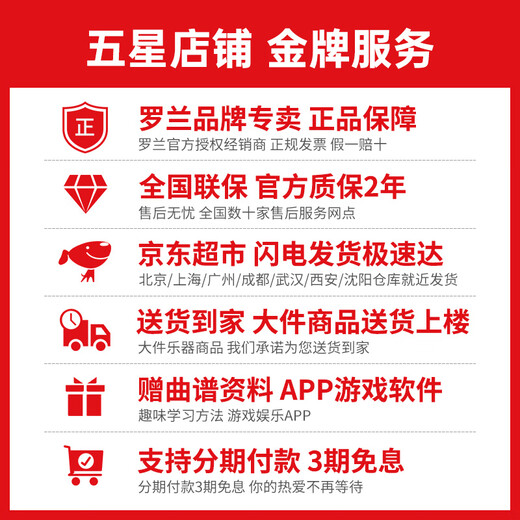 罗兰电子鼓td07kv/td07dmk架子鼓成人儿童练习娱乐专业演奏考级电鼓 5鼓4镲 07KV+PM100音箱+礼包