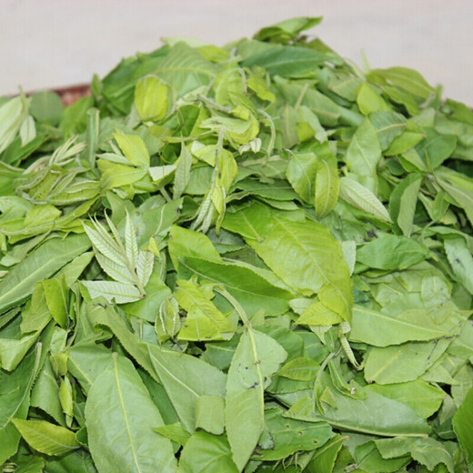 Money Green Willow Leaf ZhangjiaJie Money Green Willow Fluja original Ancient Tree Golden Money Willow Té 1000g