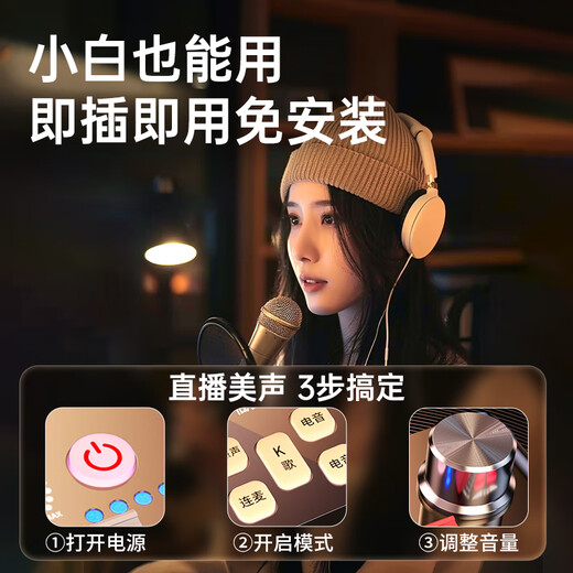 Jinyun sound card live broadcast equipment complete set external mobile phone computer recording outdoor anchor singing microphone complete set all-purpose model - complete set of sound card + handheld microphone