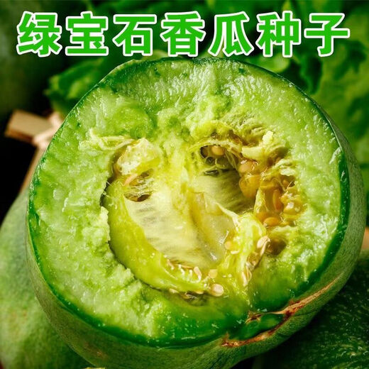 Emerald melon seeds thin-skinned super sweet cantaloupe seeds spring green-skinned four-season crisp melon early-maturing cantaloupe seeds original 2 packs of about 120 capsules