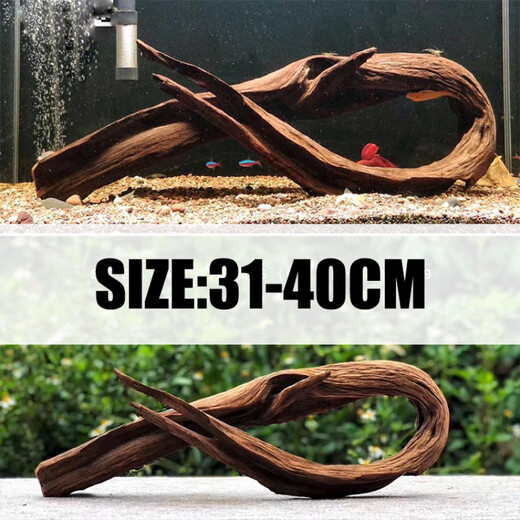 OIMG二马沉木40cm小米鱼缸造景沉木 ADA水族造景精品沉木小号小型水草 军绿色 F3890