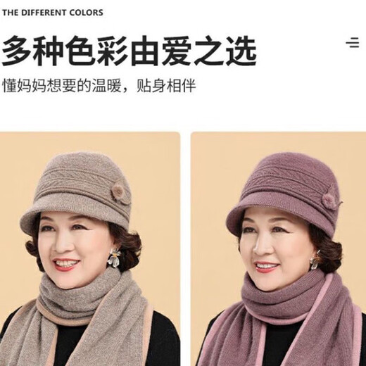 Gu Wenlun's hat with wig for middle-aged and elderly women in autumn and winter 2025 season mother's style short curly hair full head hat plus velvet versatile style (khaki hat) dark brown curly hair (hair net)