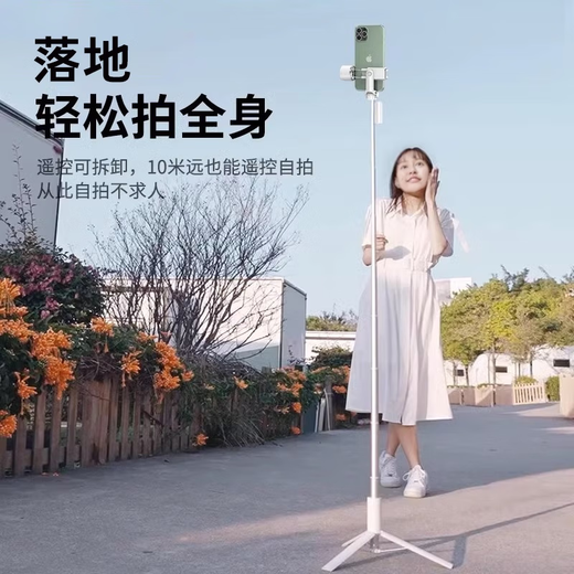 李森自拍杆三脚架 蓝牙拍照神器手机直播桌面支架vlog抖音户外拍视频手持线控式通用补光拍摄设备 【雪山白美颜版】1.7m*美颜灯*遥控器