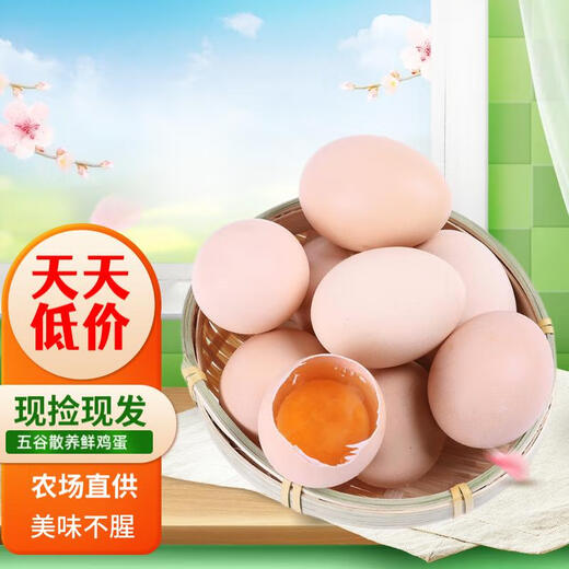 Cereal fresh eggs Farmer free-range fresh eggs 40g single 5 10 pieces (40g/piece) Cereal fresh eggs Farmer free-range fresh eggs 40g single 5 10 pieces (40g/piece)