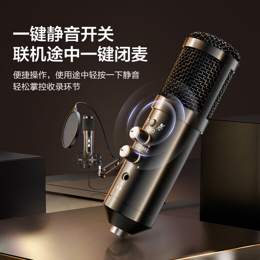 Wise Country Real-time Monitoring Microphone Condenser Game Recording Microphone Noise Reduction Microphone Anchor K Song Live Laptop USB Wired Sound Card Professional Speaker Dubbing Equipment