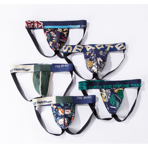 ROSELEX confidential delivery men's sexy underwear sexy low-waist cotton comfortable double thong sexy underwear M T1