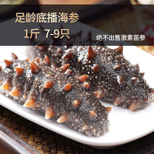 Guanshentang Dalian bottom seeded ready-to-eat sea cucumber fresh sea cucumber seafood aquatic gift box 1500g 21-27 pieces exclusive