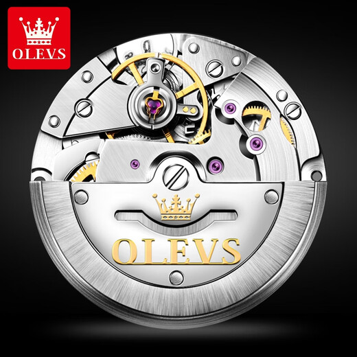 Swiss Swisss Swisss Сертифицированные бренды часы мужские механические часы с светящимися водонепроницаемыми полностью автоматическими мужски