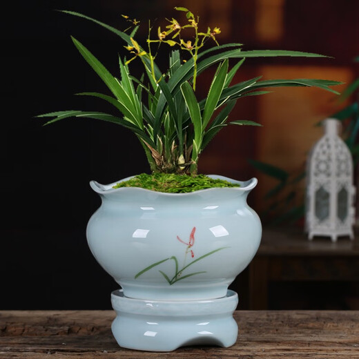 Qiantangyuan (Qian Tang Yuan) Kreatives grünes Bambus Sukkulenter Blumentopf Lazy Automatisches Wasser saugfähig Ceramics Haushalt atmungsaktivem Mandarin Bambus Phalaenoptic Orchid Pot Pflanze Große yy pinkgrün 719+ Lazy Base