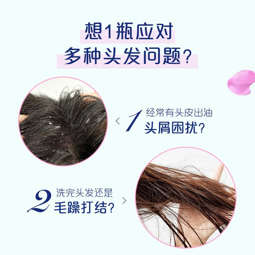 飘柔洗发水1000g家庭护理兰花双效去屑洁顺水润洗发露1kg大瓶 洁顺水润1kg*1瓶 飘柔