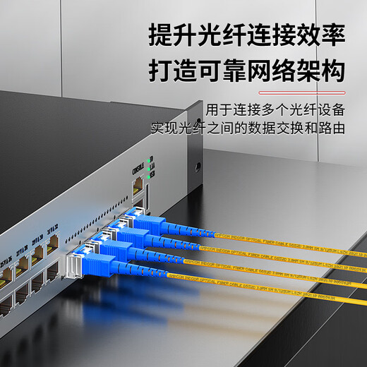 安普康（AMPCOM）电信级单模双芯2.0mm工程光纤跳线SC-SC低烟无卤入户线9/125μm收发器尾纤 5米 ASM2SC2205