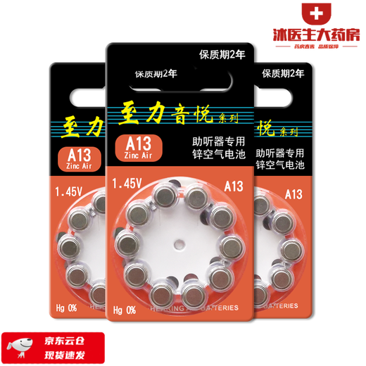 Xiwanbo Hörgeräte Special A13A10 Original A312A675 Zink zu Liyinyue Taste Electronics 1.45 V bis Li A10 [1 Tafel 10 Teile]*2