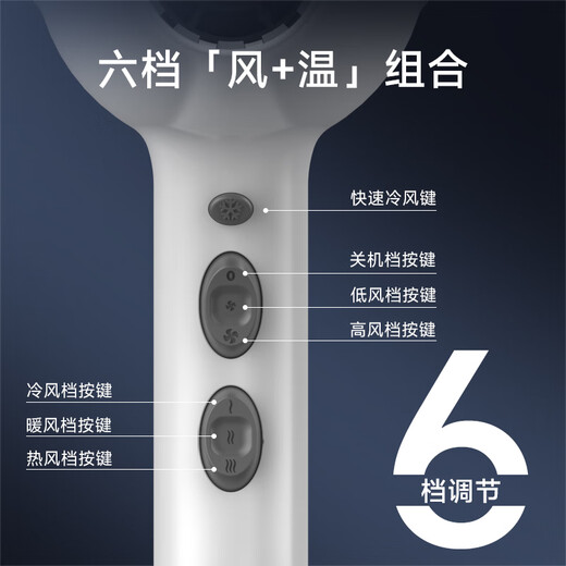 Fire Phoenix Hair Dryer Home Negative Ion High Power 2200W Hair Salon Special High Wind Quick Drying Barber Shop High Speed Constant Temperature Hair Care Does Not Damage Hair Low Noise Hair Dryer 8960H Blue Parrot 8960