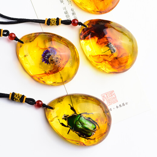 Everlasting Leaf Insect Specimens Amber Pendant Scorpion Butterfly Spider Real Insect Necklace Pendant Personalized Creative Pendant Gift 08# Copper Flower Golden Turtle