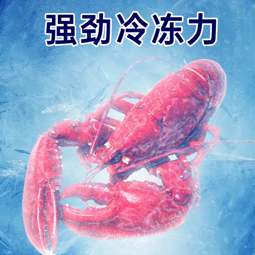 北极川钛灰商用大容量卧式冰柜低温冷冻柜超市食品冷藏柜节能电子温控商用冷柜雪糕冰箱展示柜 长1.45米不锈钢内胆-688钛灰单温智能