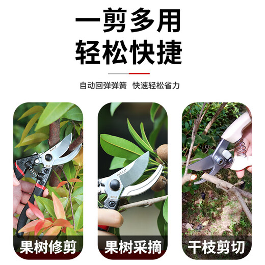 Acier inoxydable spécial puissant jardinerie d'élagage des cisaillements de cariarisation de la maison de fleur de la main-d'œuvre.