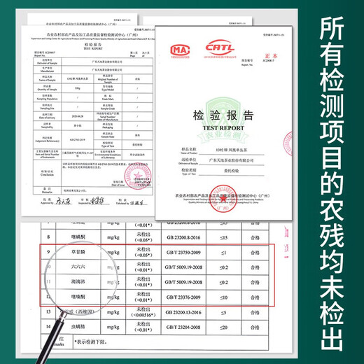 天池茶业1392 凤凰单丛通天香 潮州单枞高山乌龙茶叶有机茶乌岽单枞 礼盒 200g*1盒