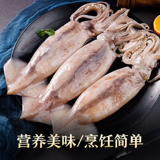 Mega fresh frozen whole large squid (2-3 pieces) net weight 550g whole squid deep sea fishing
