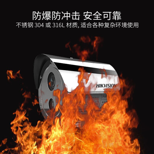 海康威视红外防爆监控摄像头机化工厂POE高清监控DS-2XE6222F-IS 海康DS- 2XE6222F-IS 4mm4MP
