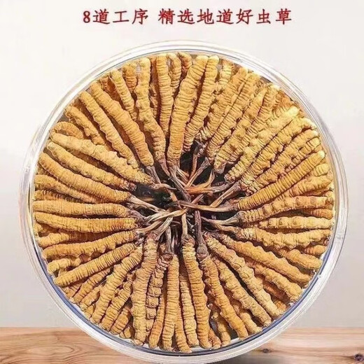 内廷上用【黑色星期五】冬虫夏草高海拔虫草头期优质干草 活动限时抢购-每天限购19手慢无 精选虫草(30根)送3根