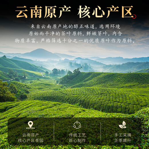 Qichun Pu'er Tea Loose Tea Thé cru 500g Yunnan Ancient Tree Thé cru comme le thé vert Le professeur amer envoie des anciens au festival de la mi-automne