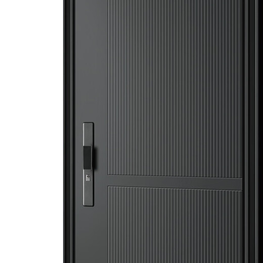 帝卡西DKX-盛世流光2050*960防盗门安全门入户门智能门轻奢户门