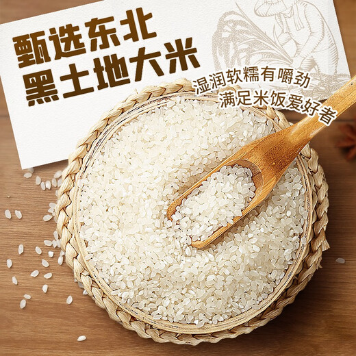 Bibigo Bolas de Arroz de Mano Sabor Barbacoa Coreana 525g (5 piezas) Bolas de Arroz Instantáneas para Desayuno Listas para Comer Mismo Estilo que Sam's