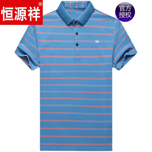 恒源祥高档短袖T恤男夏季中年爸爸装大码商务休闲纯棉条纹翻领保罗衫男 HFX693蓝色 L 170【120-140斤】
