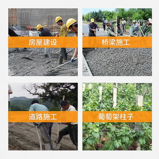 CLCEY portable concrete vibrator vibrator small cement vibrator single-phase electric 220V 3880W+ (50 type 1.5m rod)
