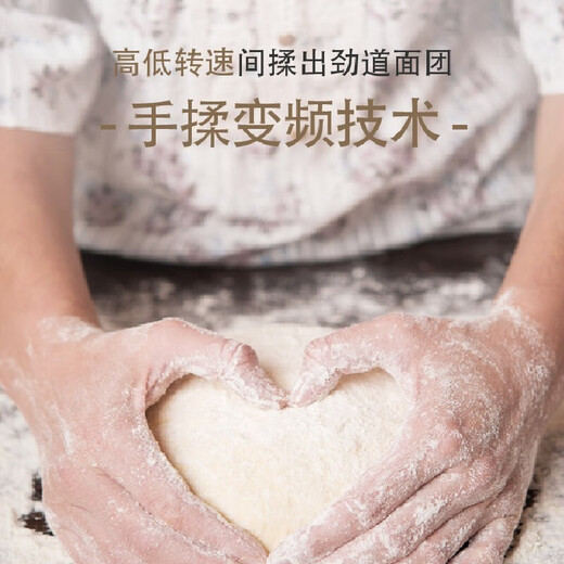 Panasonic National Subsidy Household Bread Machine PT1001/WTP1001 Multifunctional Dough Mixer Toaster Intelligent Fully Automatic Bread Machine Kneader PT1001 Rose Gold