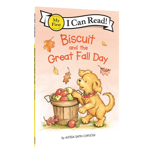 
Biscuit and the Great Fall Day 618 Primary School Teaching Assistant