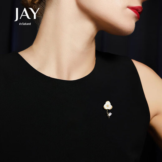 Jay flower anti-exposure brooch neck accessories give birthday gifts to mother-in-law and elders