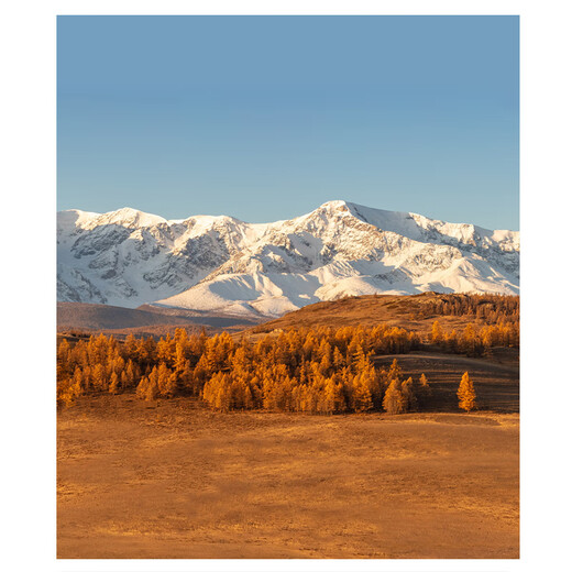 Swenwan's new style snow-capped mountain sunset grassland mountain foot landscape photography background cloth photography studio home decoration photo cloth hanging cloth custom model 100cm*150cm 0x0cm